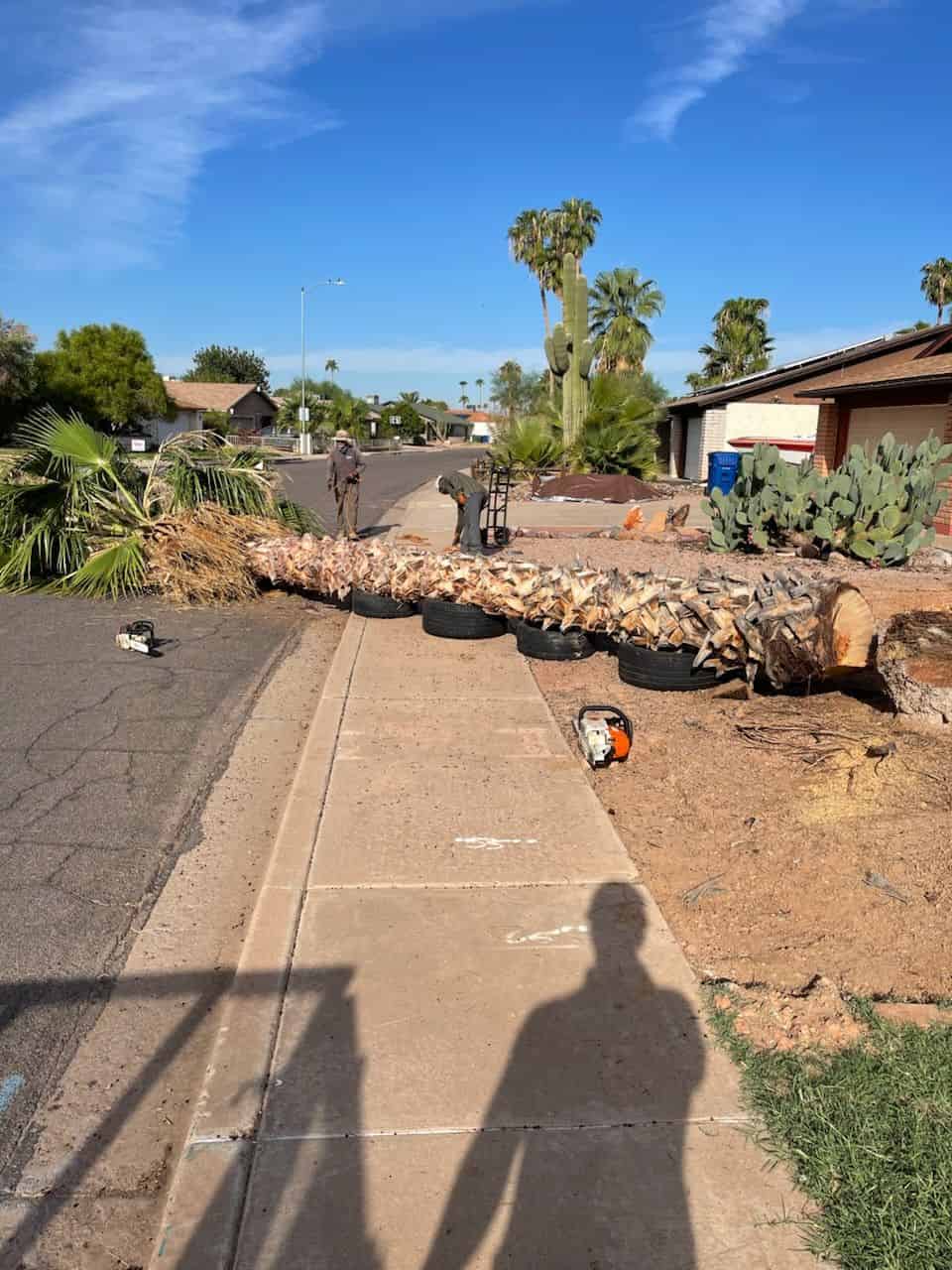 Tree Removals image