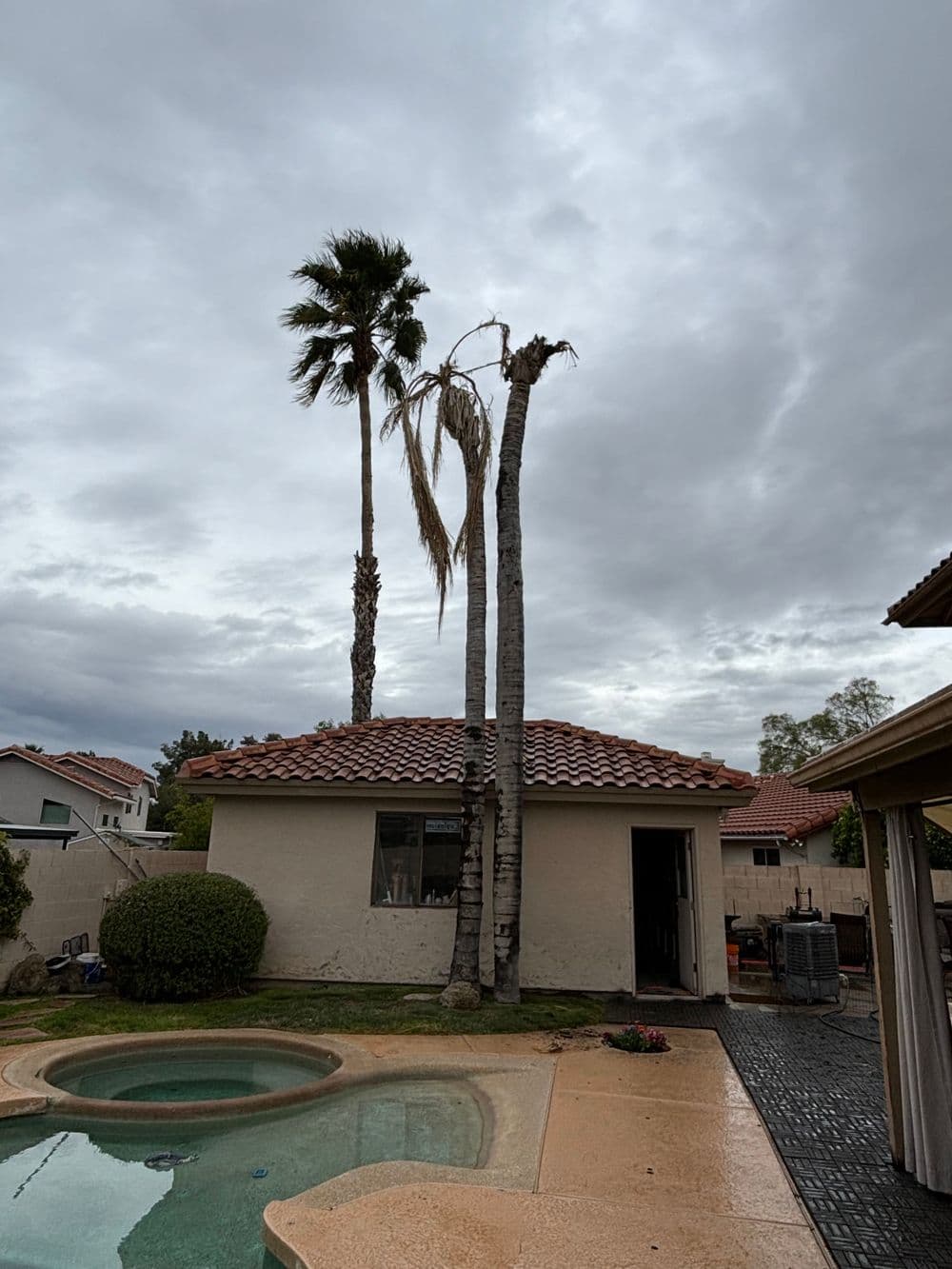 Palm trees beside a house with a cloudy sky and a pool in the backyard.
