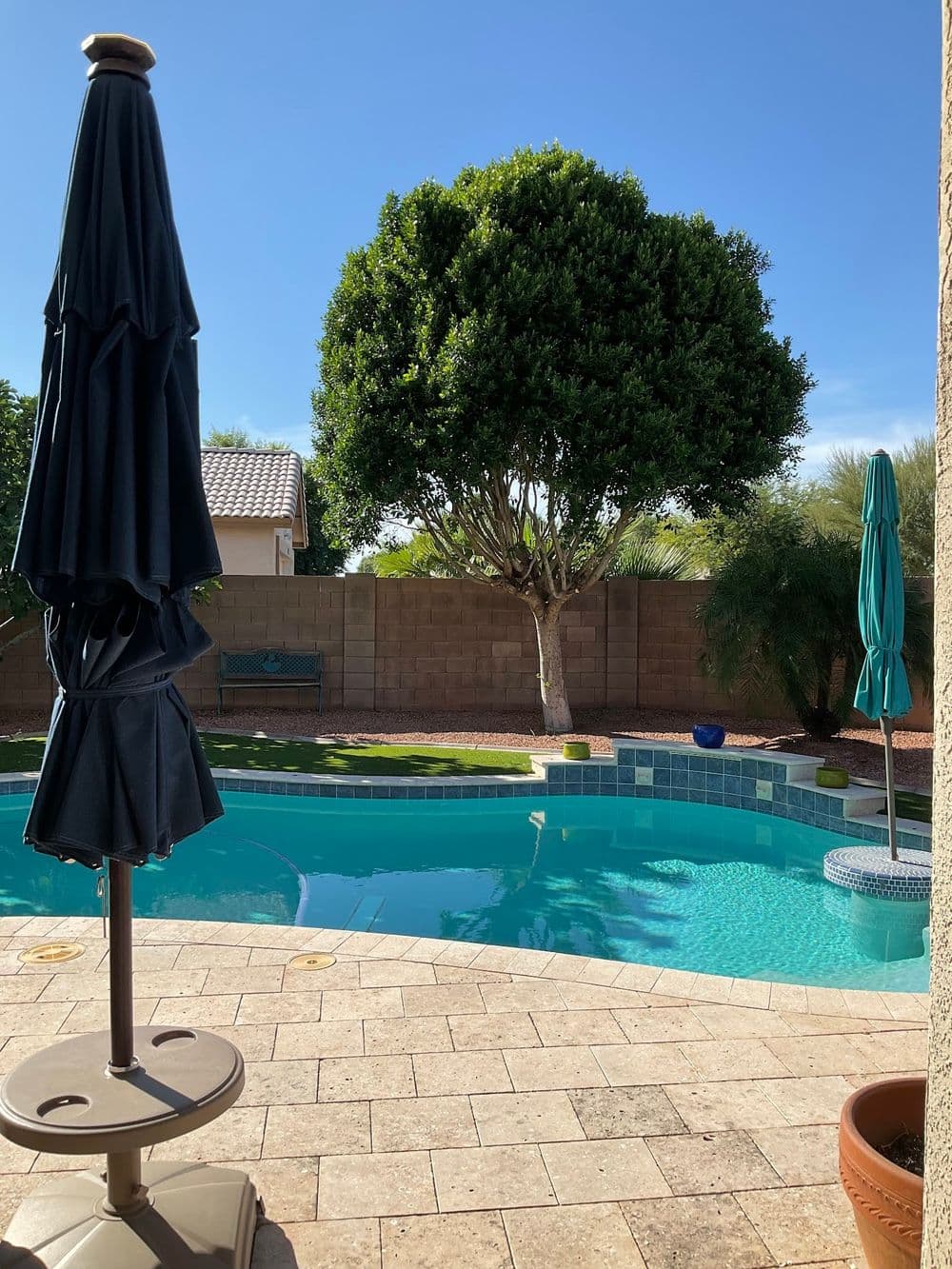 Backyard pool surrounded by lush greenery and a large tree under a clear blue sky.