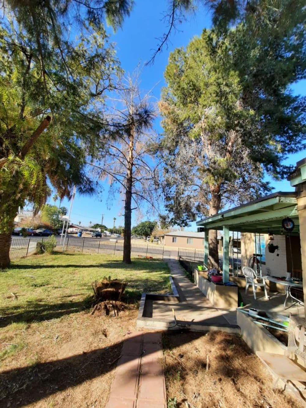 Sunny backyard with trees and a pathway leading to a house in the distance.