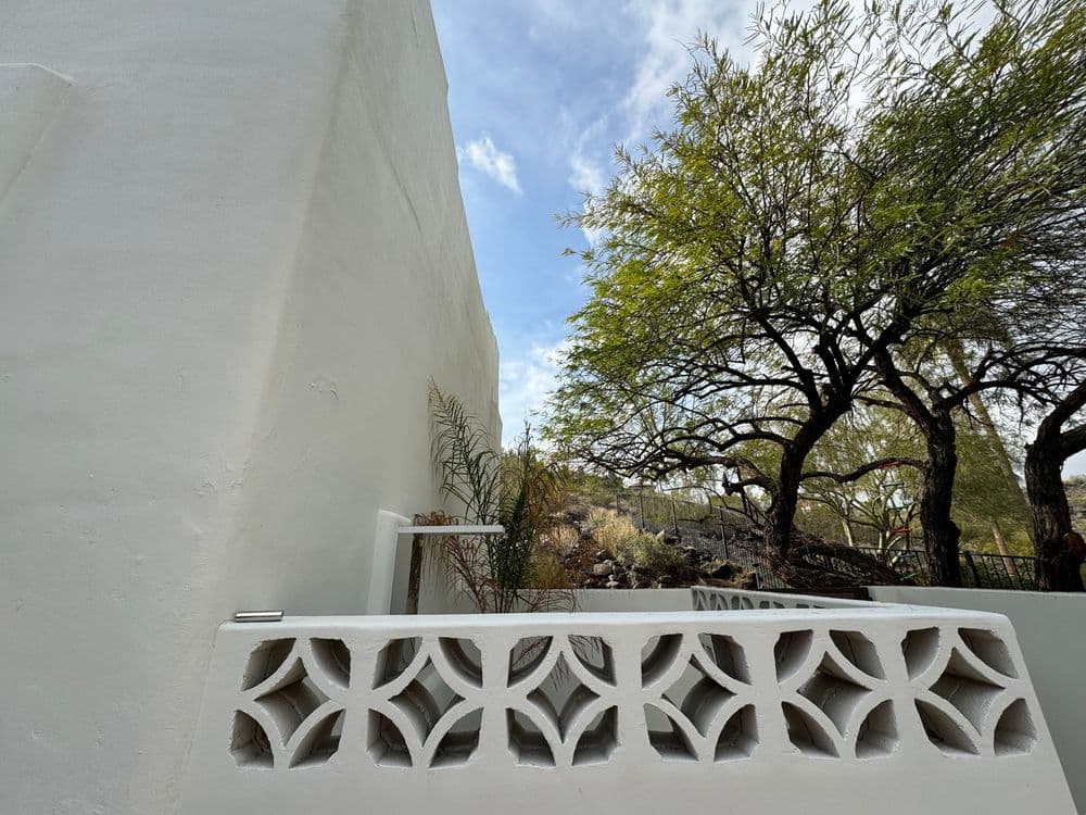 White stucco wall and patterned fence with a green tree and blue sky in the background.