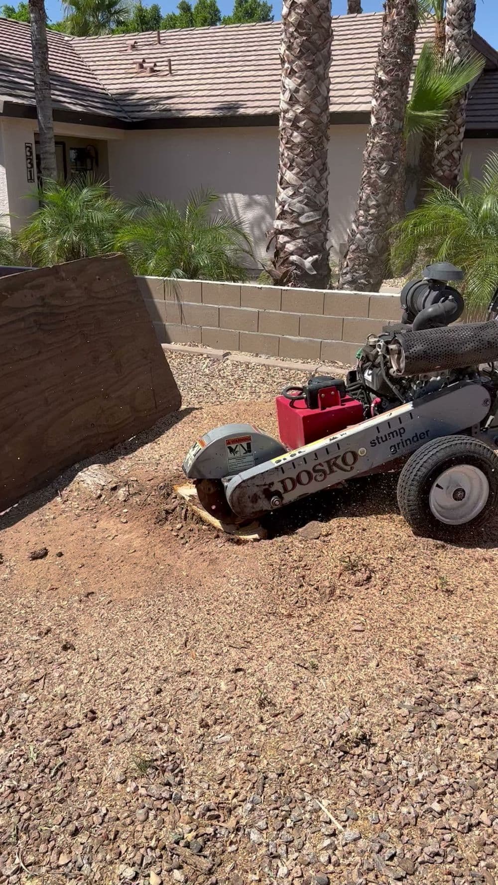 Stump grinder in use near a house, with palm trees and dirt ground visible.