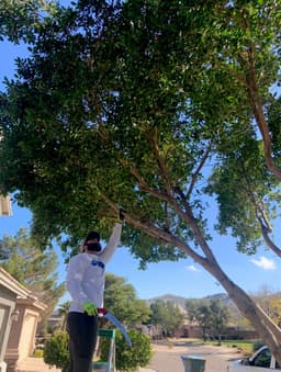 Rated #1 Tree Service in the Valley's image