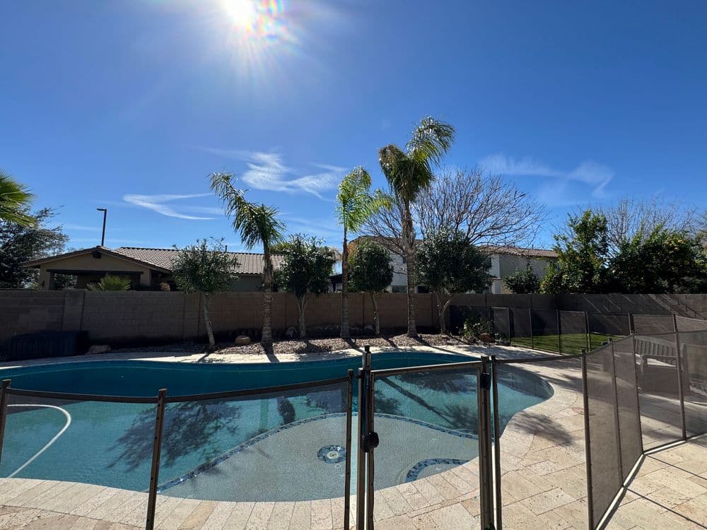 Bright backyard pool with palm trees and a safety fence under a clear blue sky.