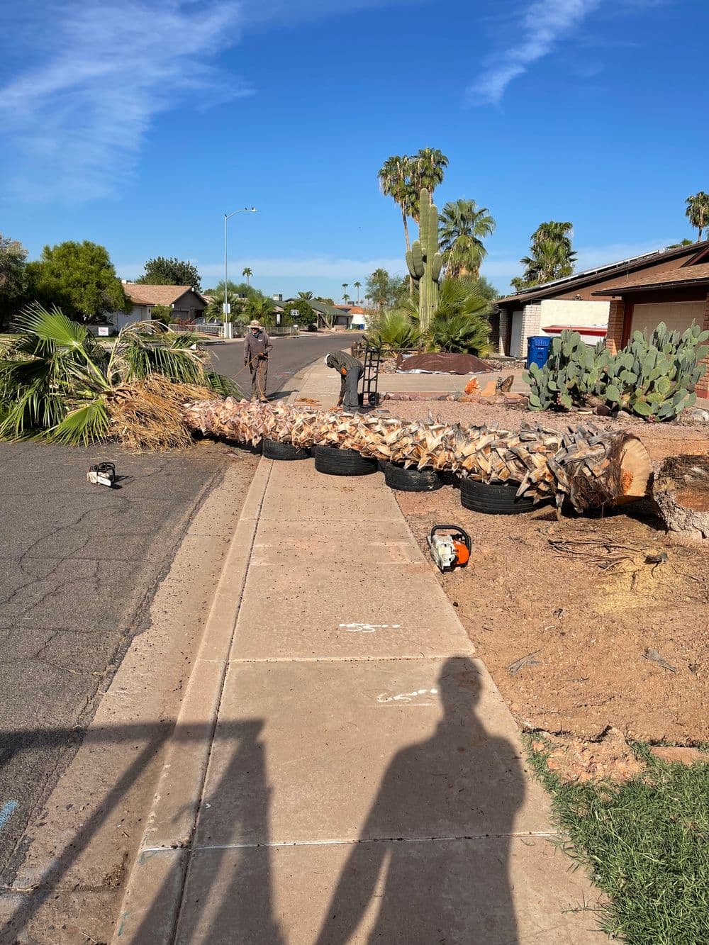 Workers cutting a palm tree on a residential street with palm fronds and debris on the sidewalk.