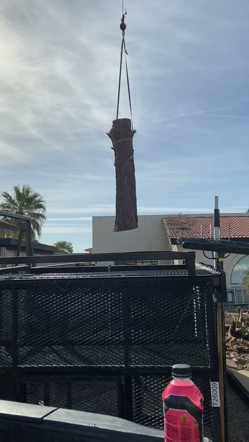 Tree trunk being lifted by a crane against a clear sky and building backdrop.